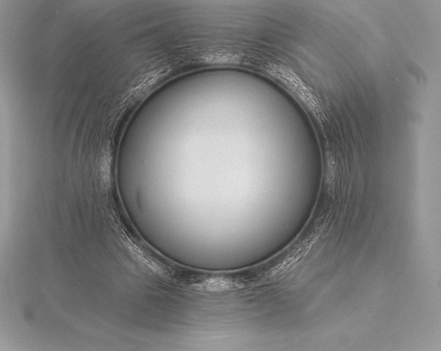 X0000115550441200911201804