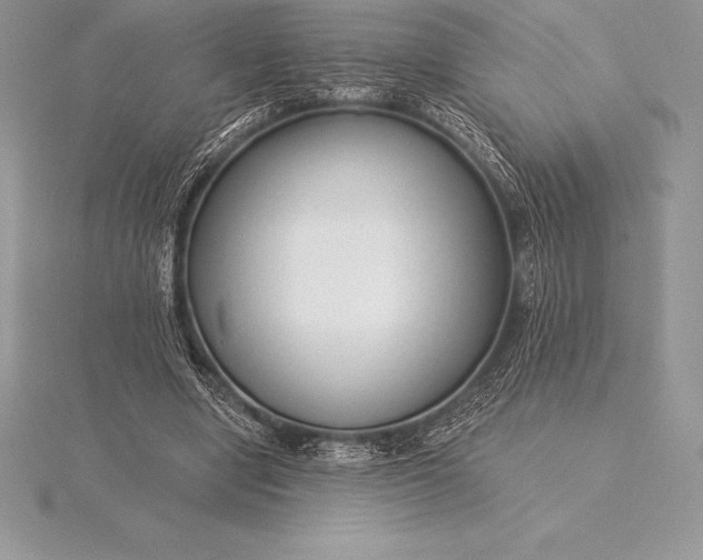 X0000115550442200911201804