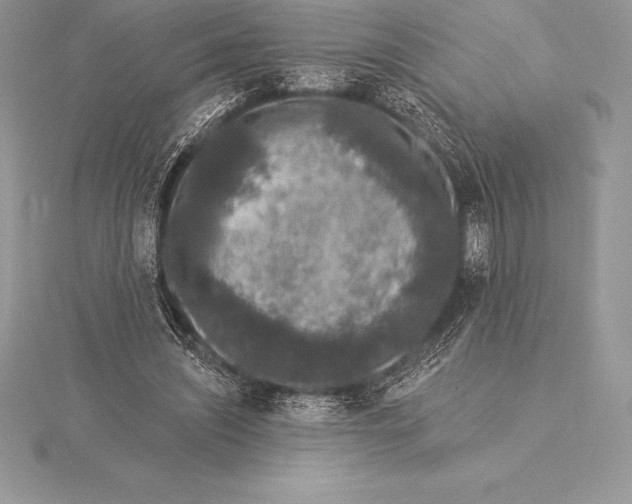 X0000115550444200911201804