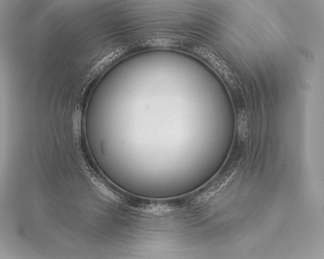 X0000115550445200911201804