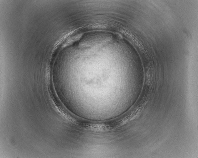 X0000115550446200911201804