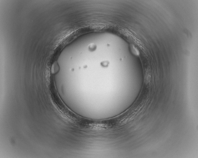 X0000115550448200911201804