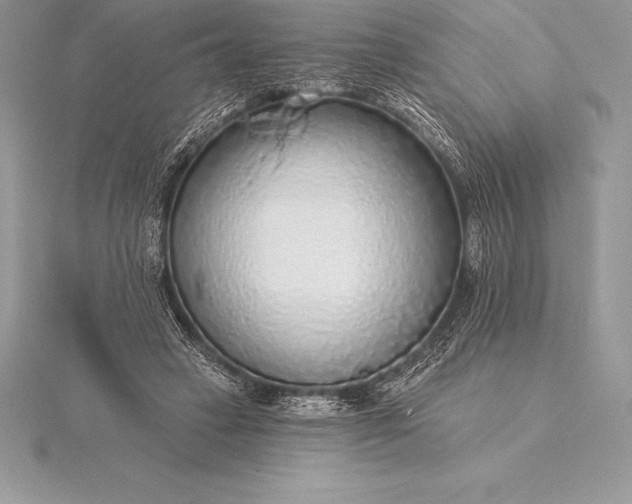 X0000115550449200911201804