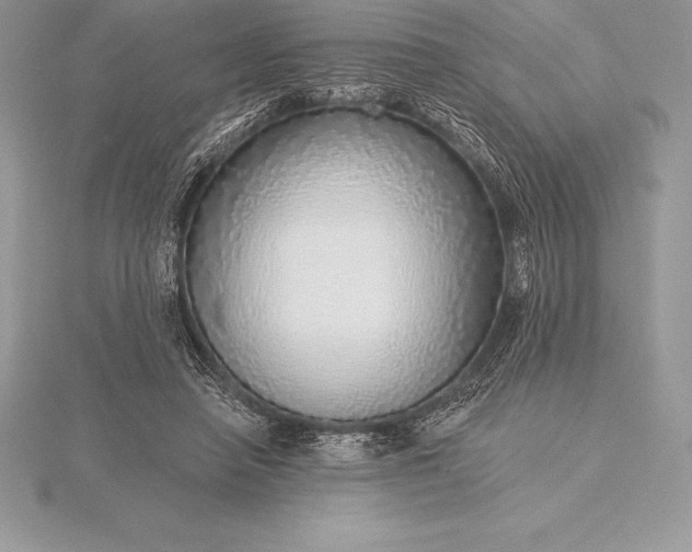 X0000115550450200911201804