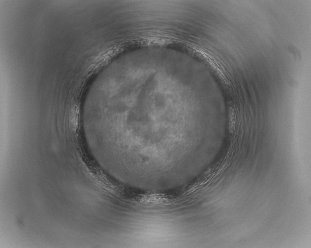 X0000115550451200911201804