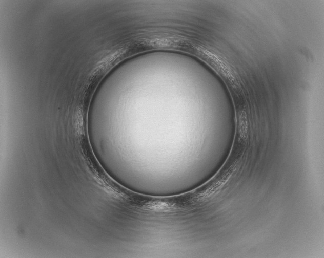 X0000115550453200911201804