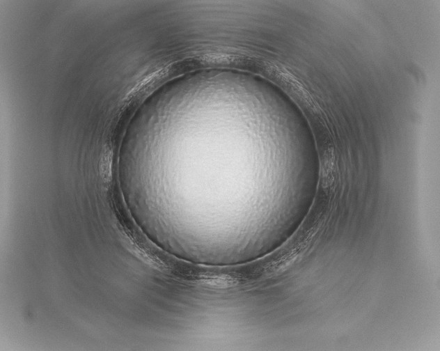 X0000115550454200911201804