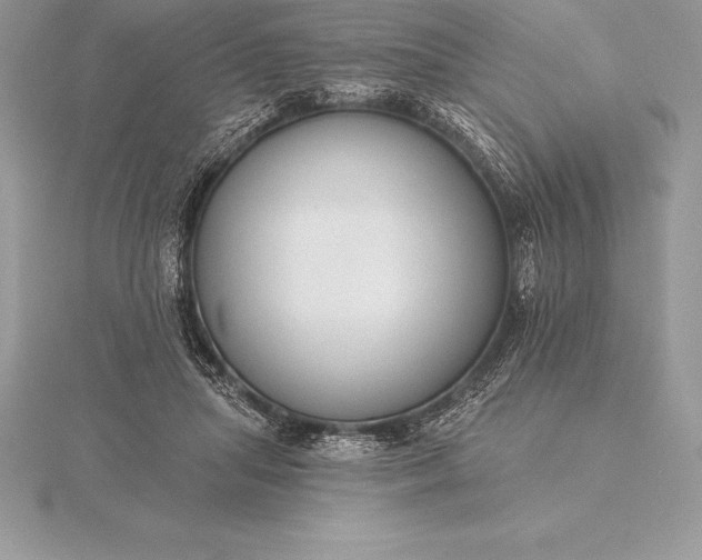 X0000115550455200911201804