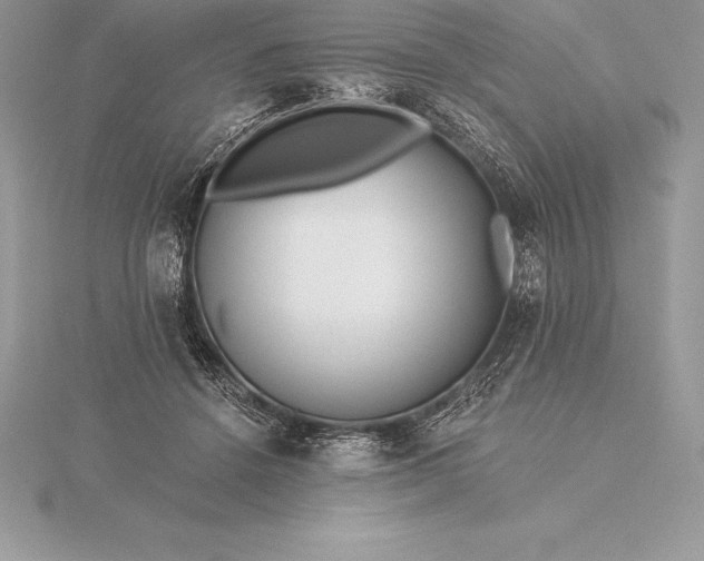 X0000115550456200911201804