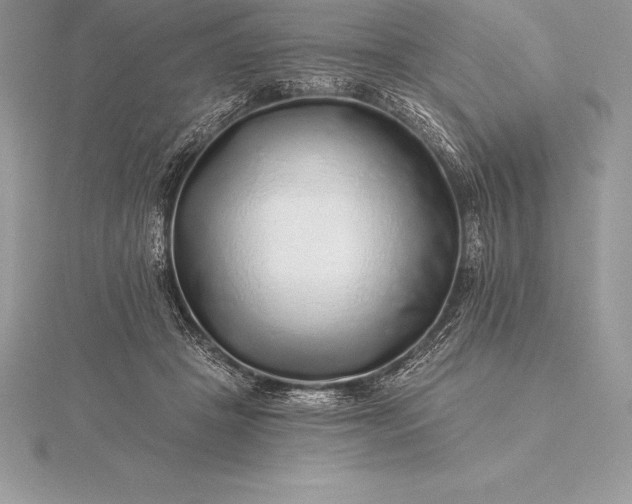 X0000115550457200911201804