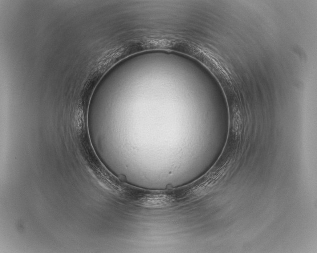 X0000115550459200911201804