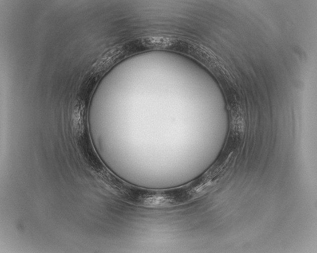 X0000115550460200911201804