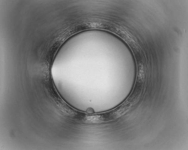 X0000115550461200911201804