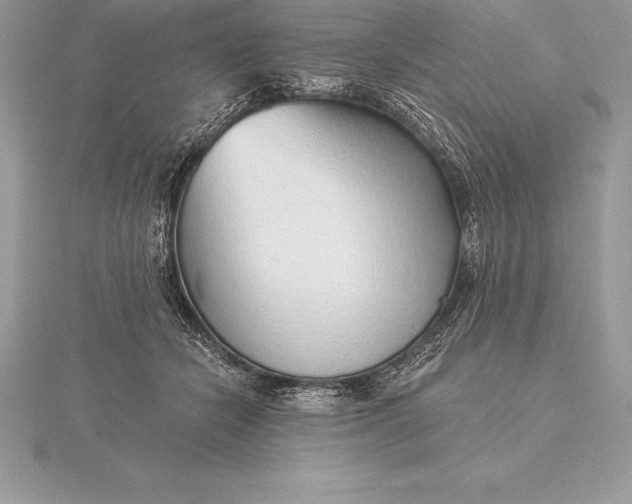 X0000115550462200911201804