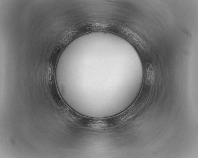 X0000115550463200911201804