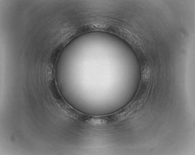 X0000115550464200911201804