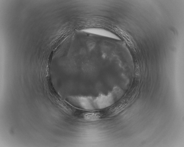 X0000115550465200911201804