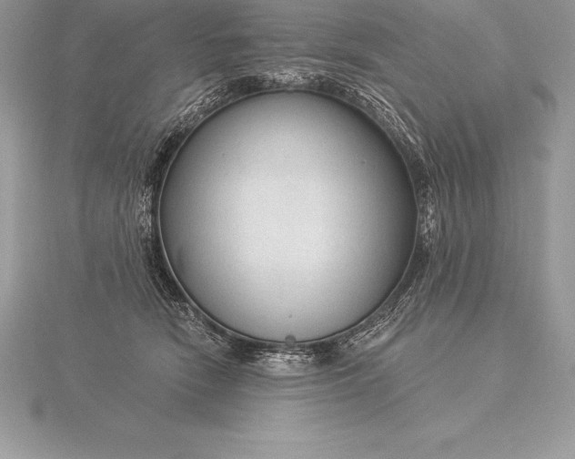 X0000115550466200911201804