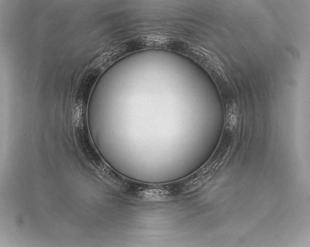 X0000115550468200911201804