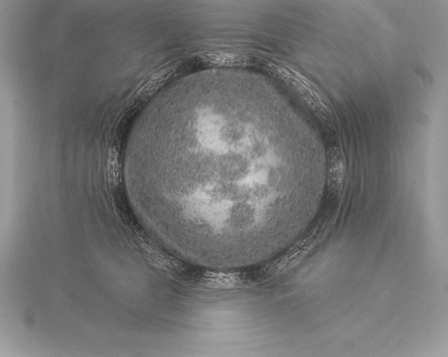 X0000115550469200911201804