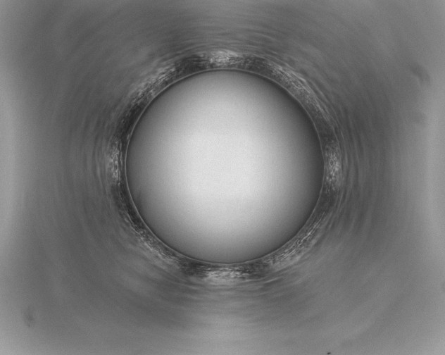 X0000115550470200911201804