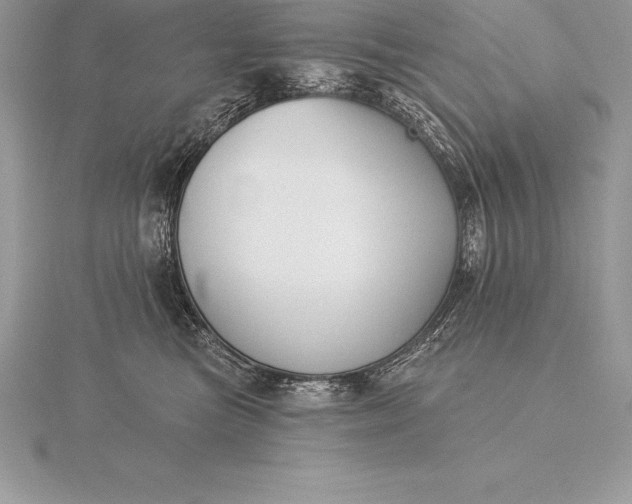 X0000115550473200911201804