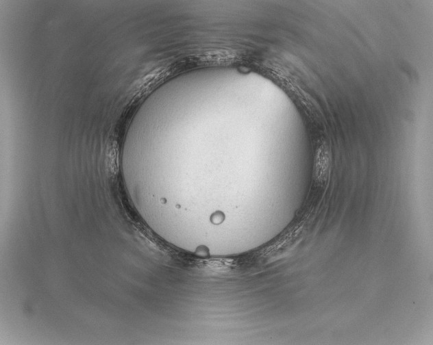 X0000115550474200911201804