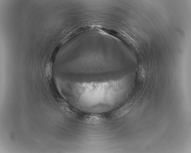 X0000115550475200911201804