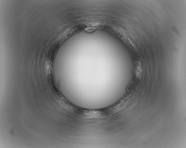 X0000115550476200911201804