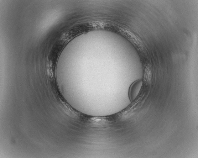 X0000115550477200911201804