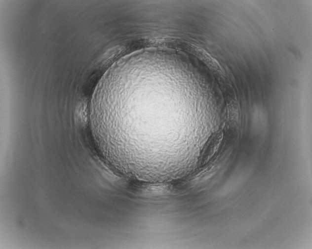 X0000115550479200911201804