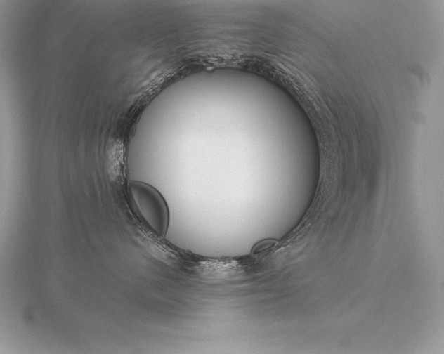 X0000115550480200911201804