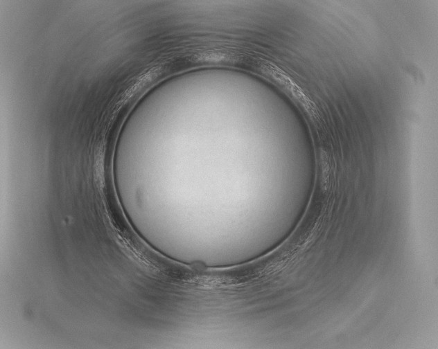 X0000115550482200911201804