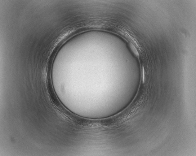 X0000115550483200911201804