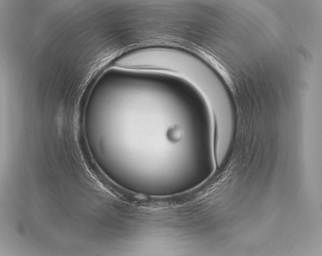 X0000115550485200911201804