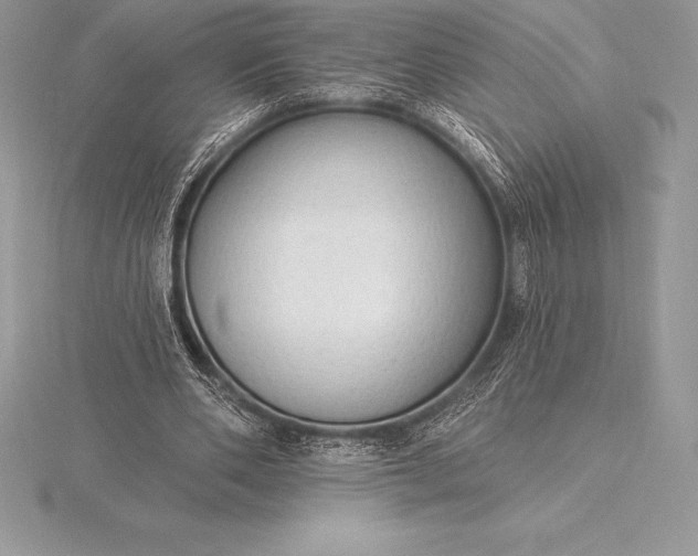 X0000115550486200911201804