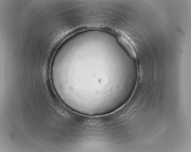 X0000115550487200911201804