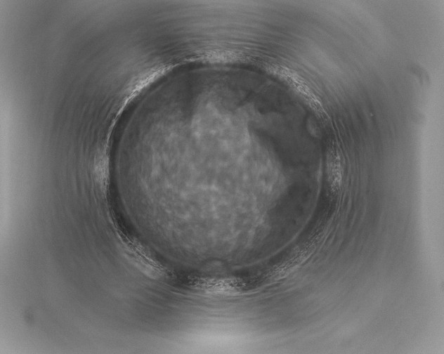 X0000115550488200911201804