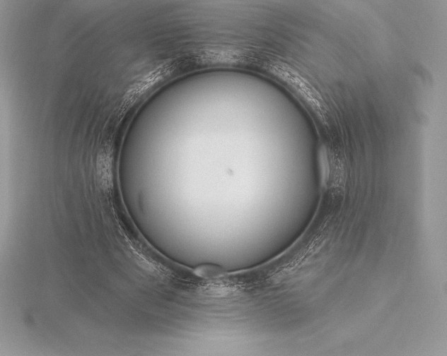 X0000115550489200911201804