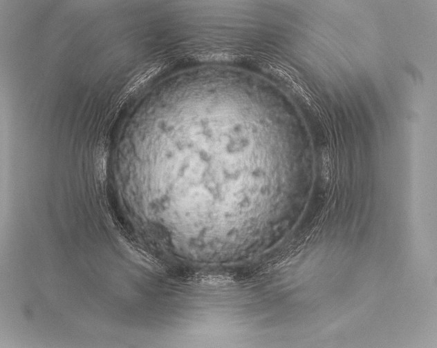 X0000115550491200911201804