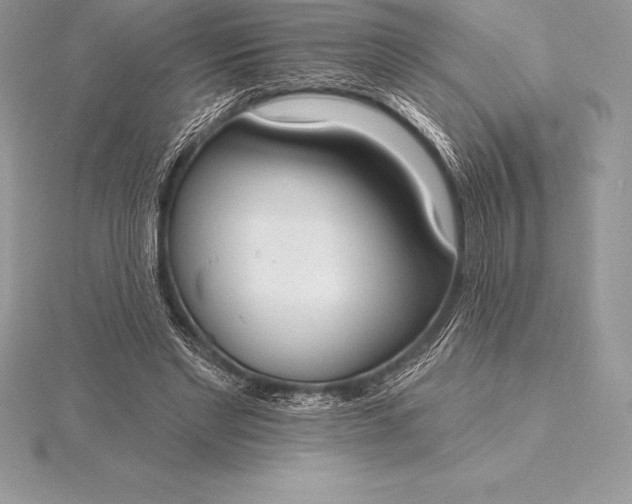 X0000115550493200911201804