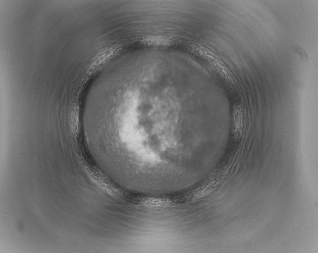 X0000115550494200911201804