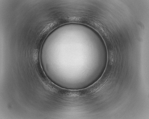 X0000115550495200911201804