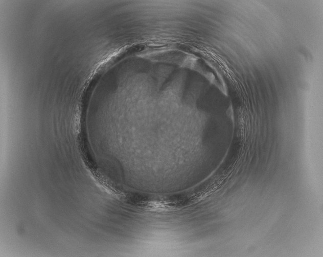 X0000115550496200911201804