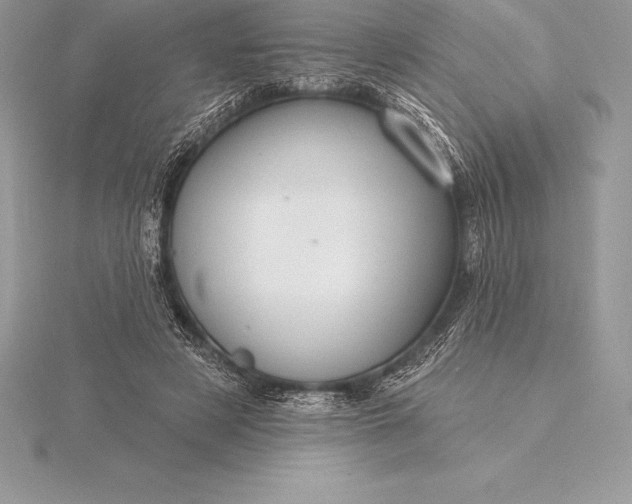 X0000115550497200911201804