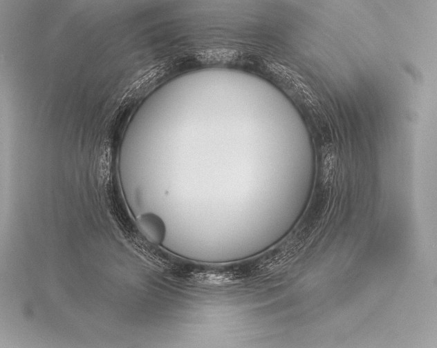 X0000115550498200911201804