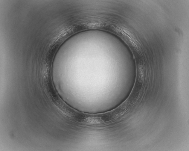 X0000115550499200911201804