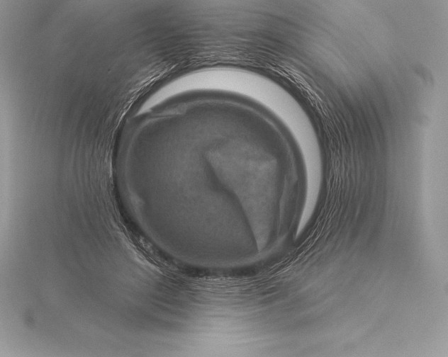 X0000115550500200911201804