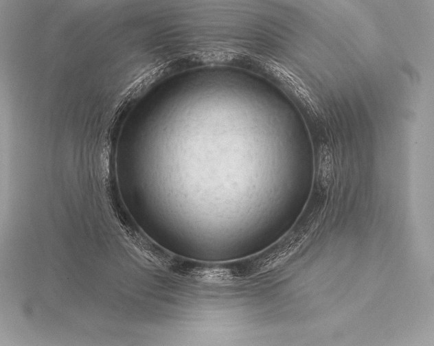 X0000115550501200911201804