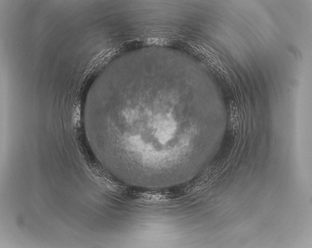 X0000115550502200911201804